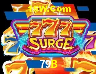 Sistemas de Segurança 79B